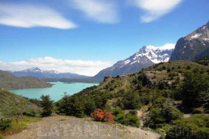Camino a Los Cuernos - Torres del Paine, Chile
