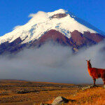 Ecuador - Chimborazo1