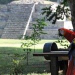 Hondiras - Copan