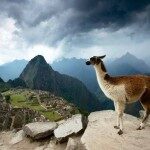 Peru - Machu Picchu