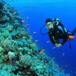 St Croix - Diving